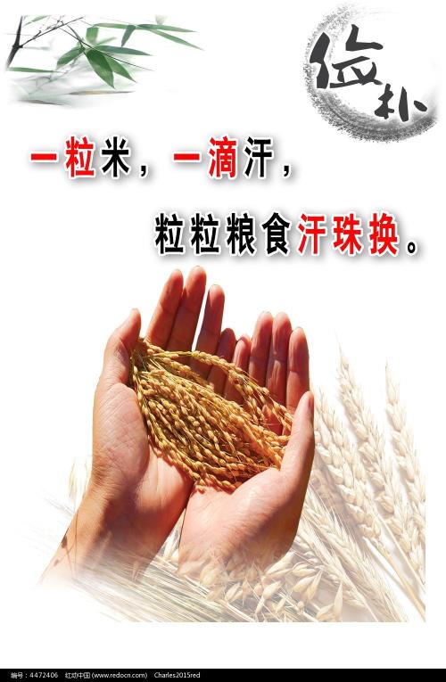 おひめじ大学の近くComputerScienceDiploma